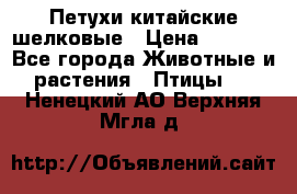 Петухи китайские шелковые › Цена ­ 1 000 - Все города Животные и растения » Птицы   . Ненецкий АО,Верхняя Мгла д.